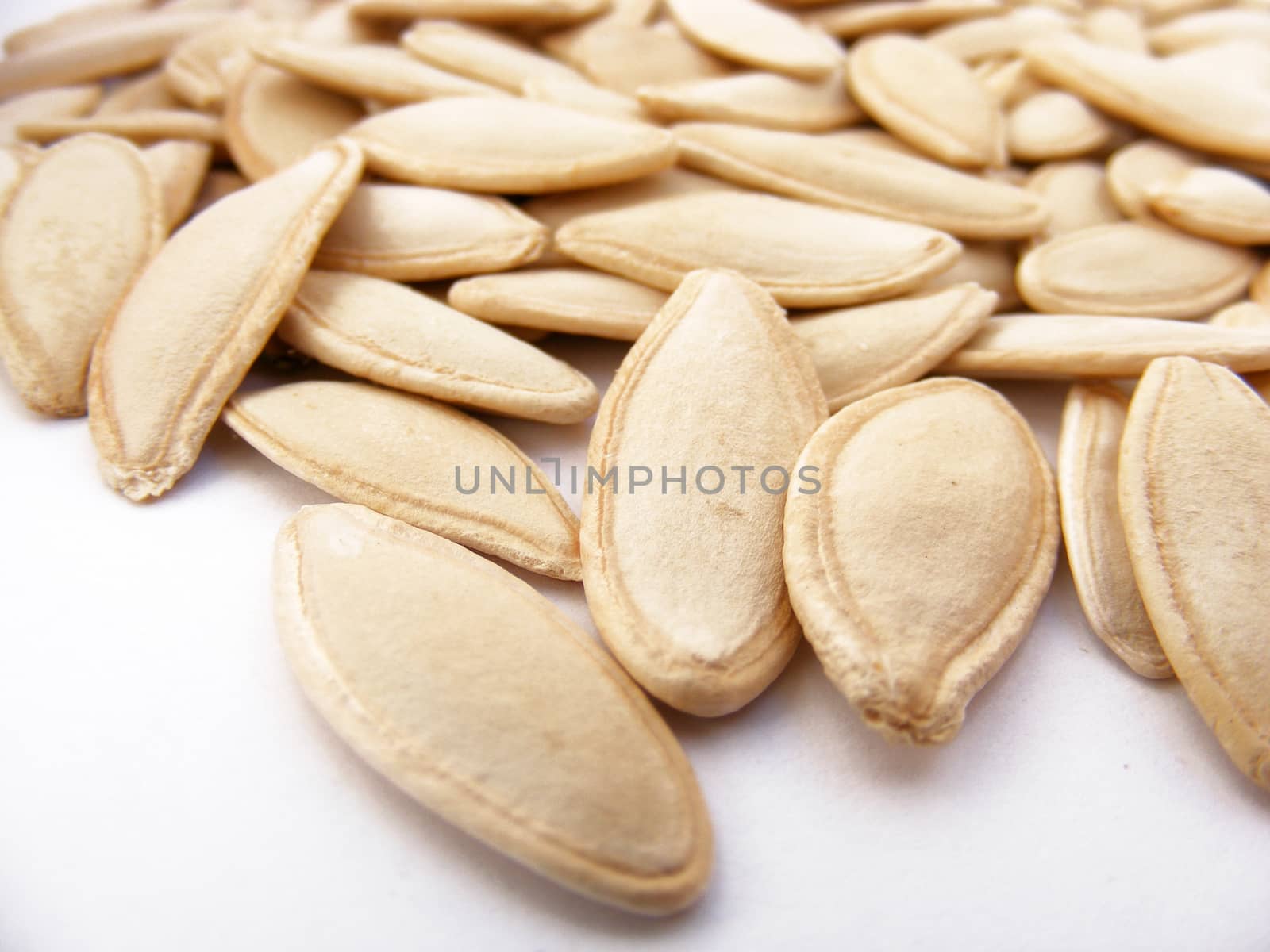 Pictures of the most beautiful and fresh pumpkin seeds by nhatipoglu