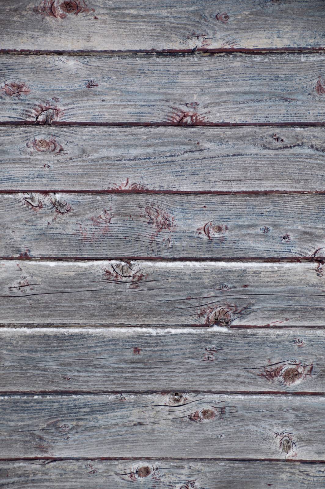 Background portrait oriented image of 8 grunge peeled silver grey weathered barn boards with remannts of red and blue paint.  Small ledges of snow on this outdoor image.