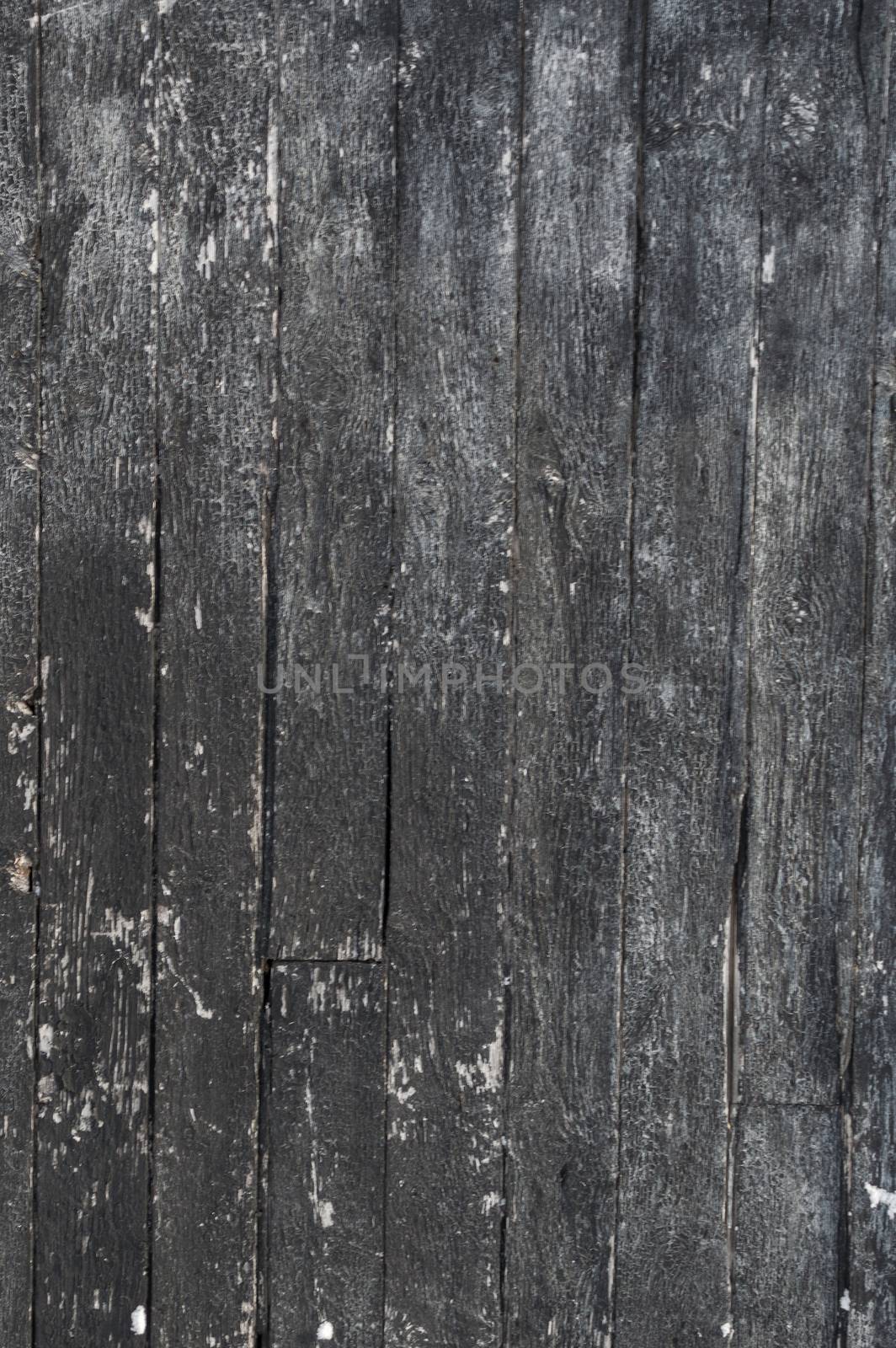 Background portrait oriented image of some vertical grunge black painted crackled and peeling silver grey weathered barn boards.