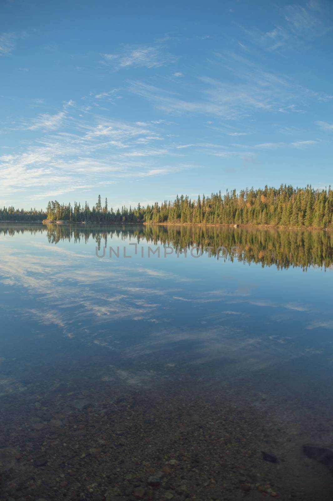 Dead calm lake in early morning with reflections of conifers and wispy cirrus clouds