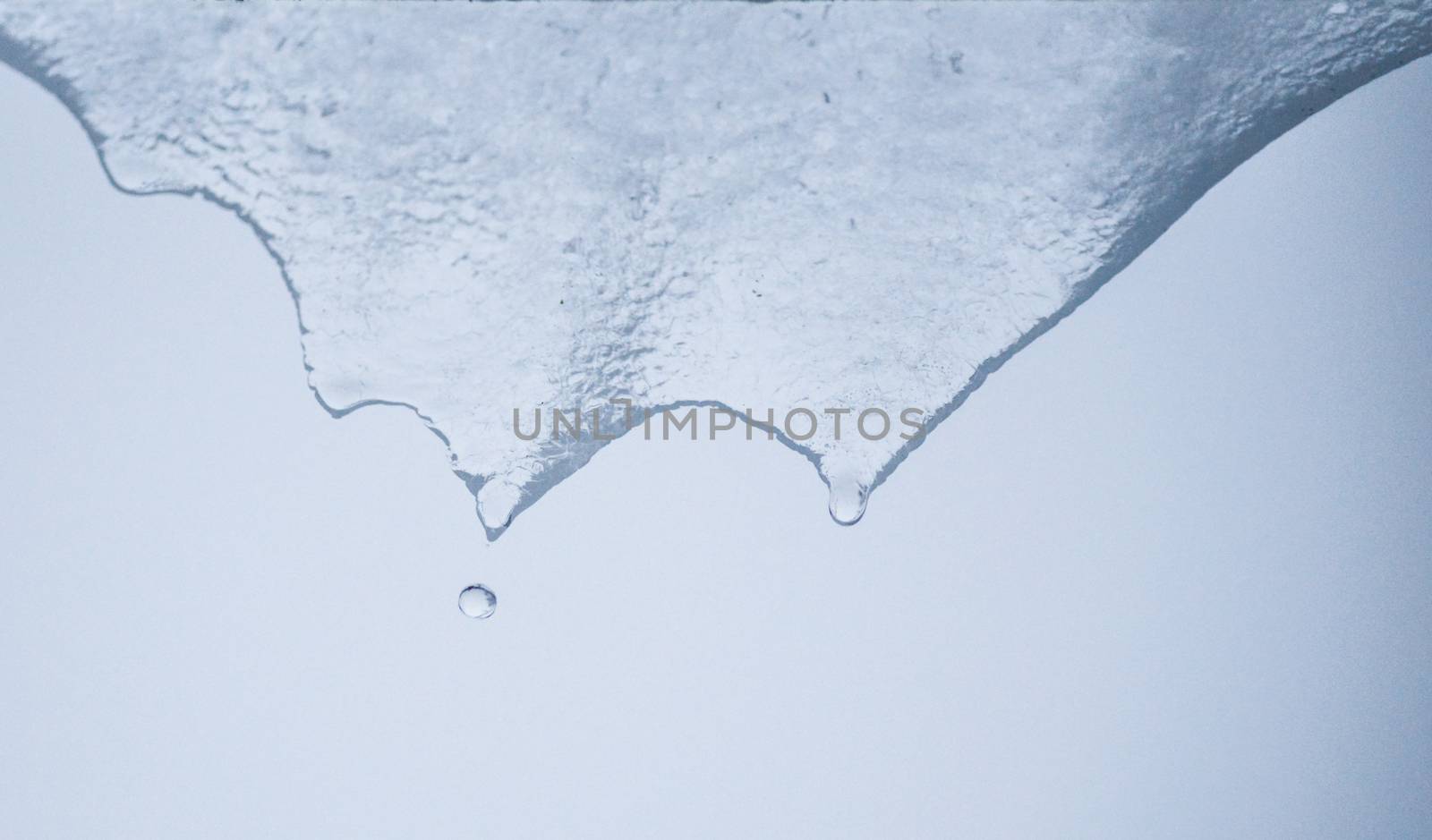 Transparent icicles melting and dripping water.