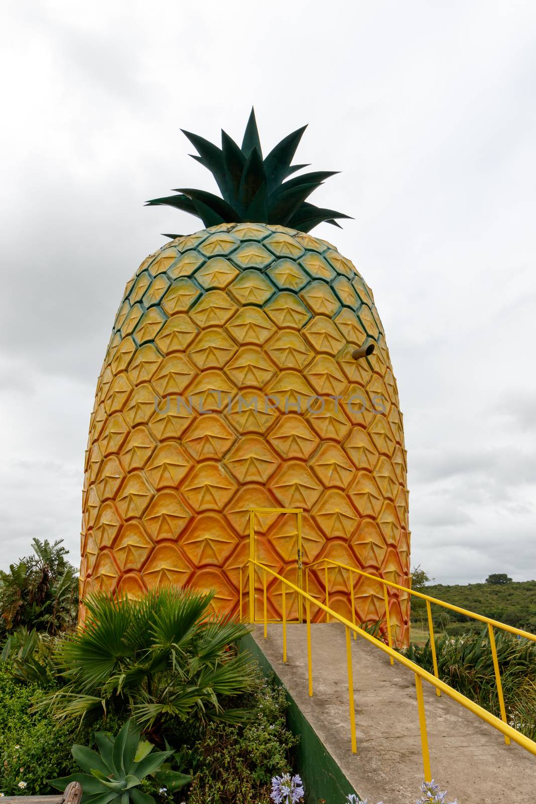 Big Pineapple Bathurst by markdescande