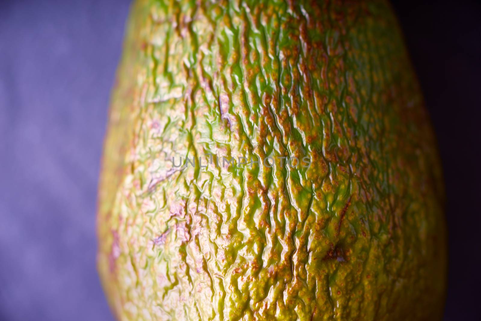 Avocado with relief peel on the purple background by Deniskarpenkov
