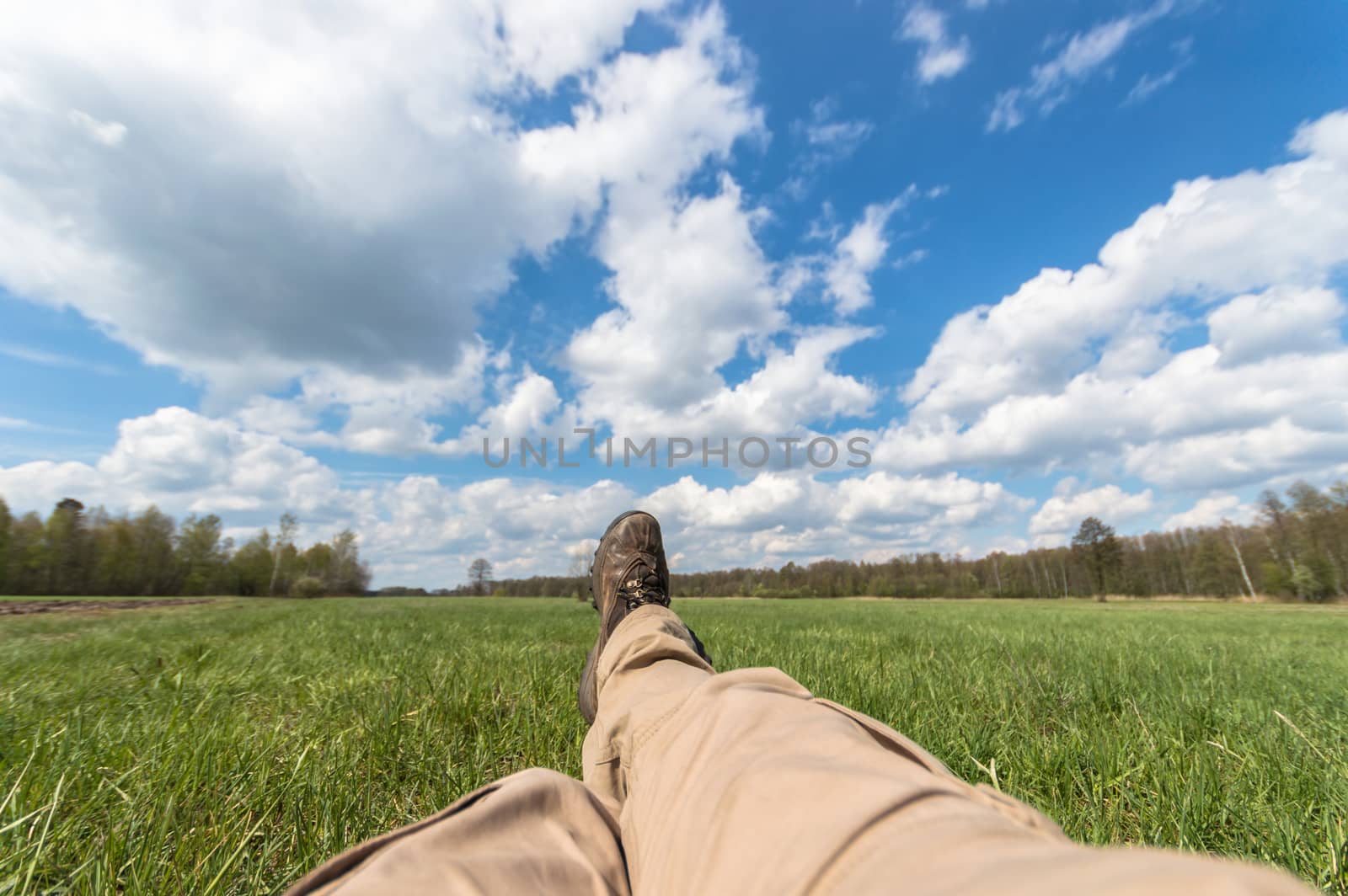 natural green colorful rural meadow, nature series