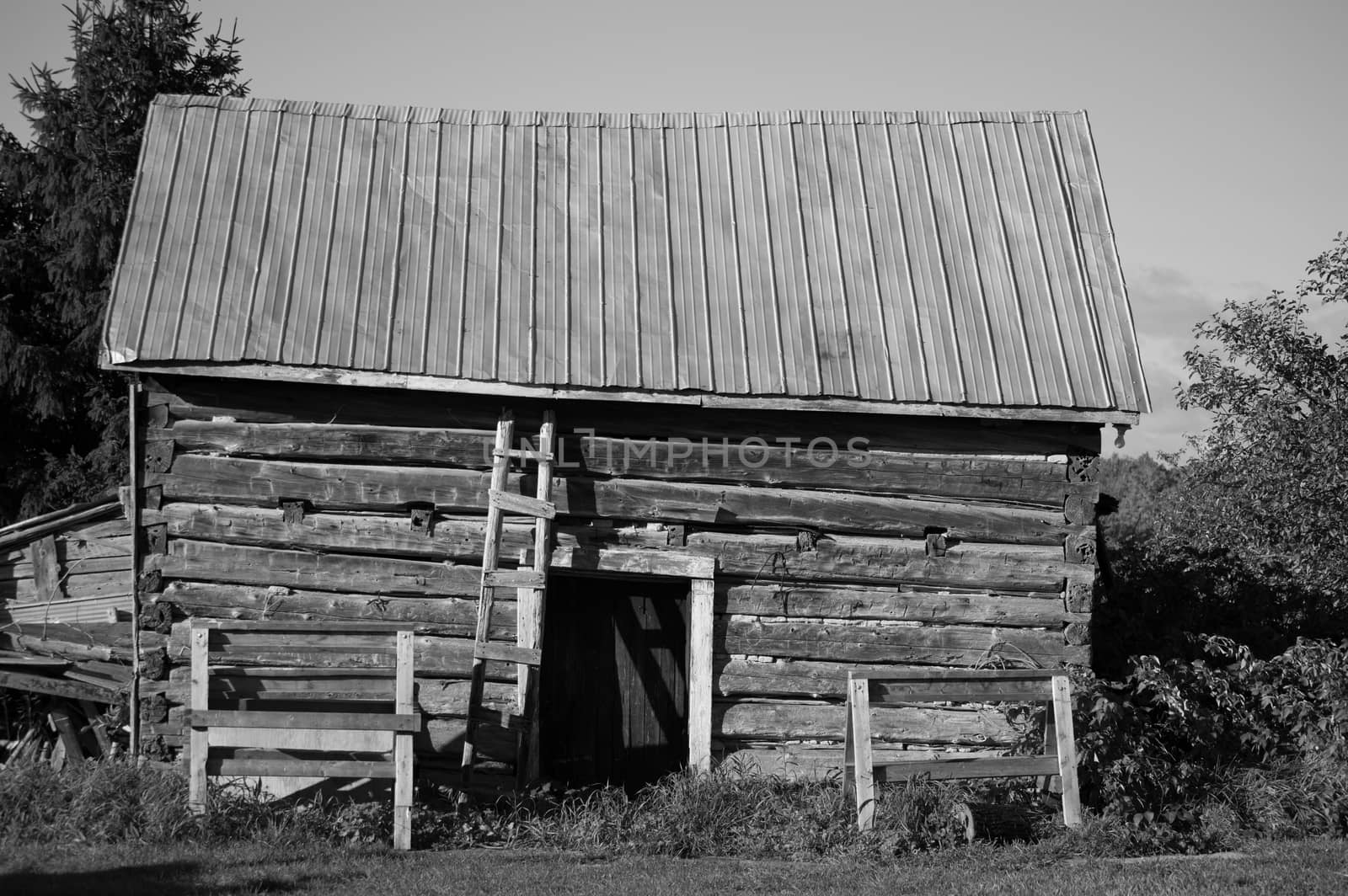 This black and white image of a sawn log cabin with a door and tin roof show the long side of the building.