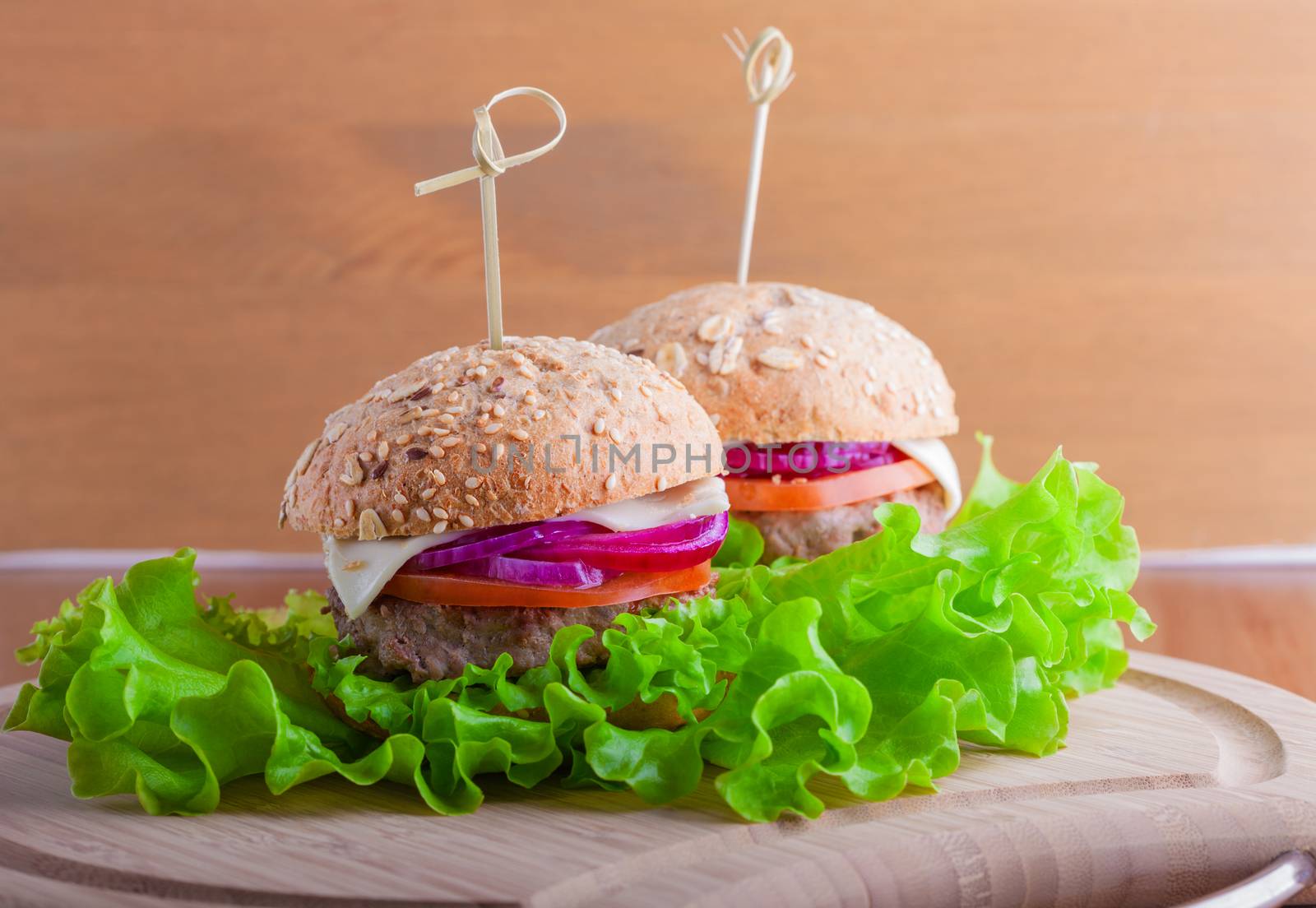 Cheeseburger with tomato, onion and green salad by supercat67