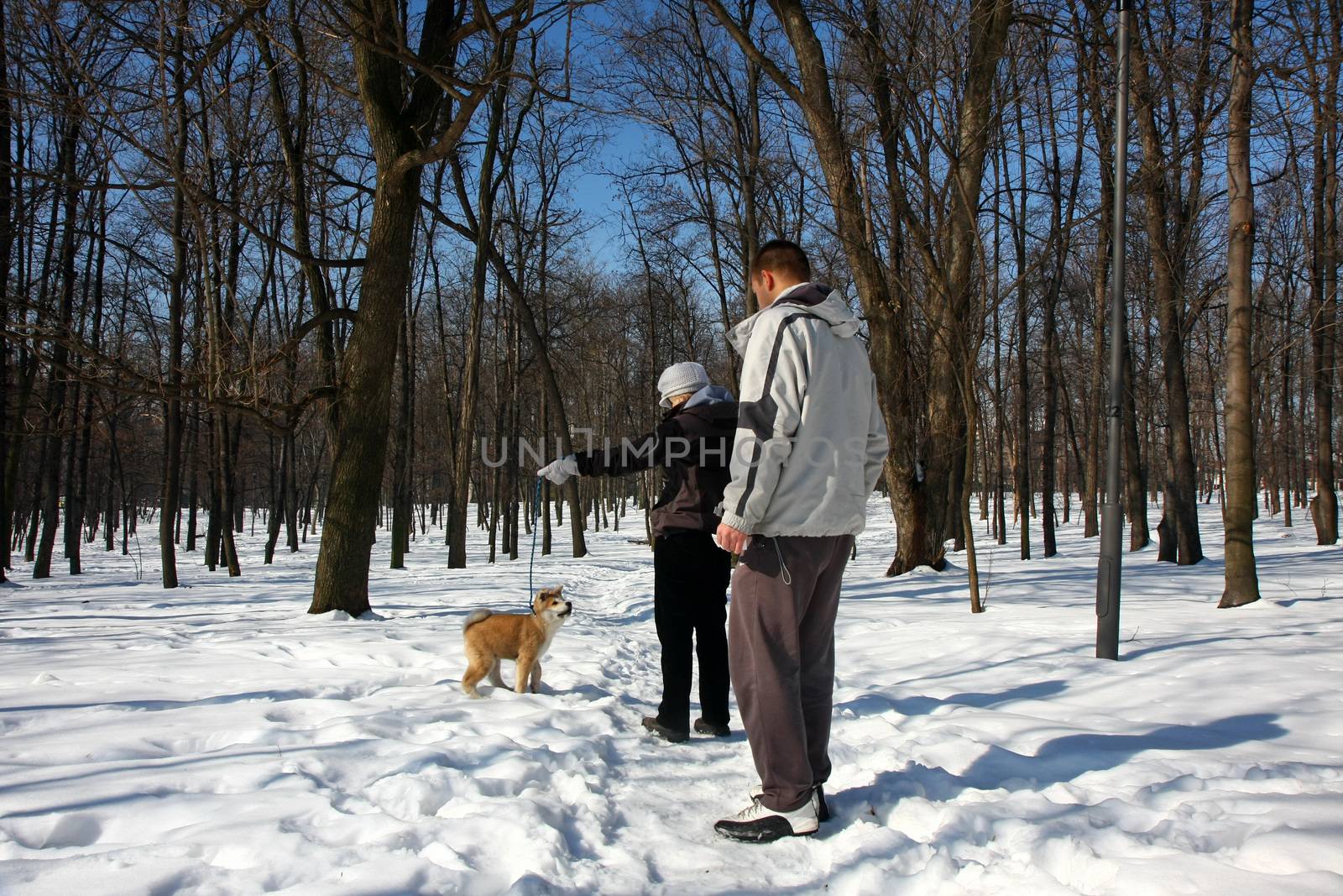 Woman and young man with puppy of japanese dog Akita Inu