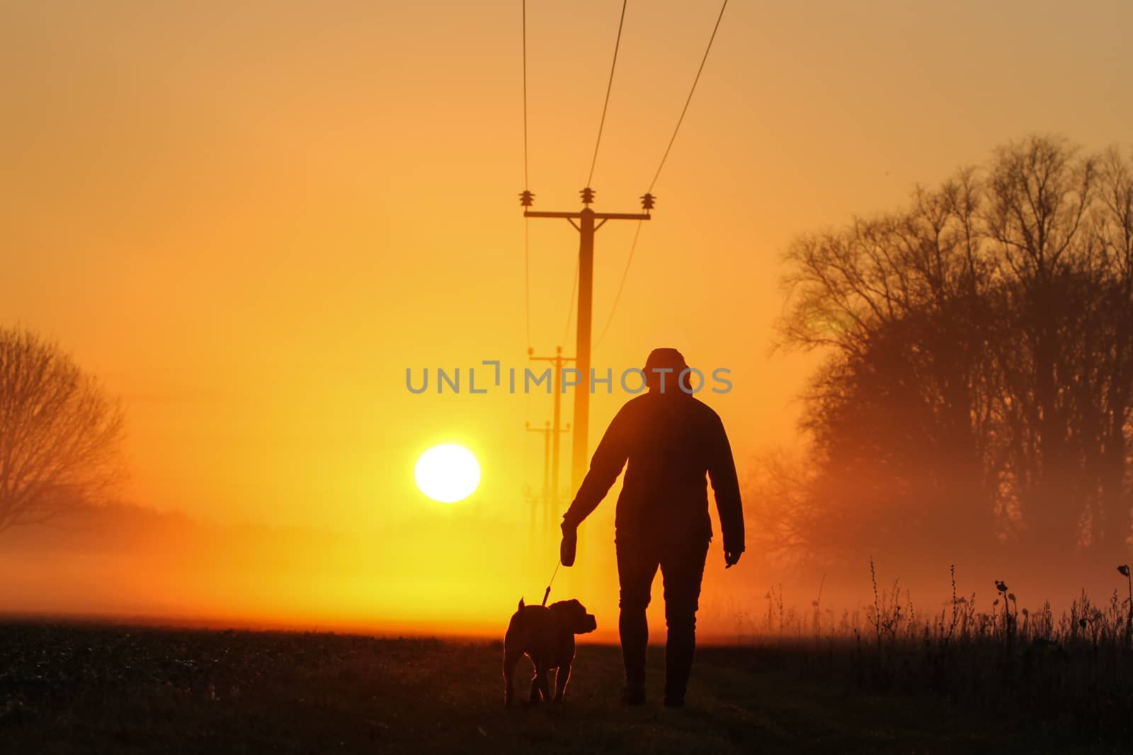 Attractive Young female walks dog in countryside into the sunset by IanSherriffs