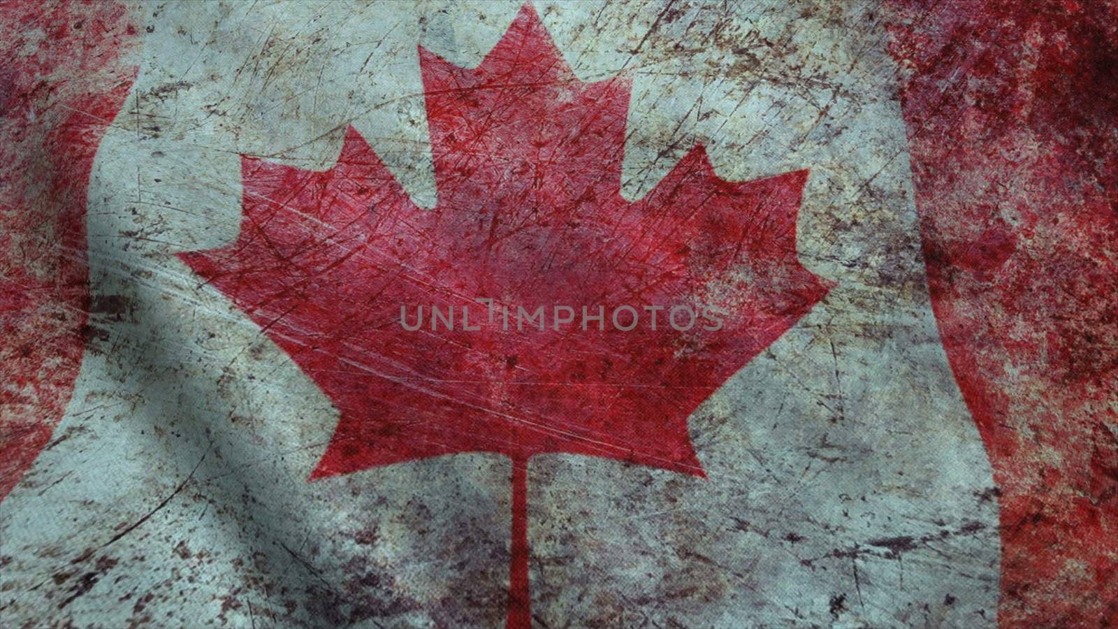Realistic Ultra-HD flag of the Canada waving in the wind. Seamless loop with highly detailed fabric texture by nolimit046