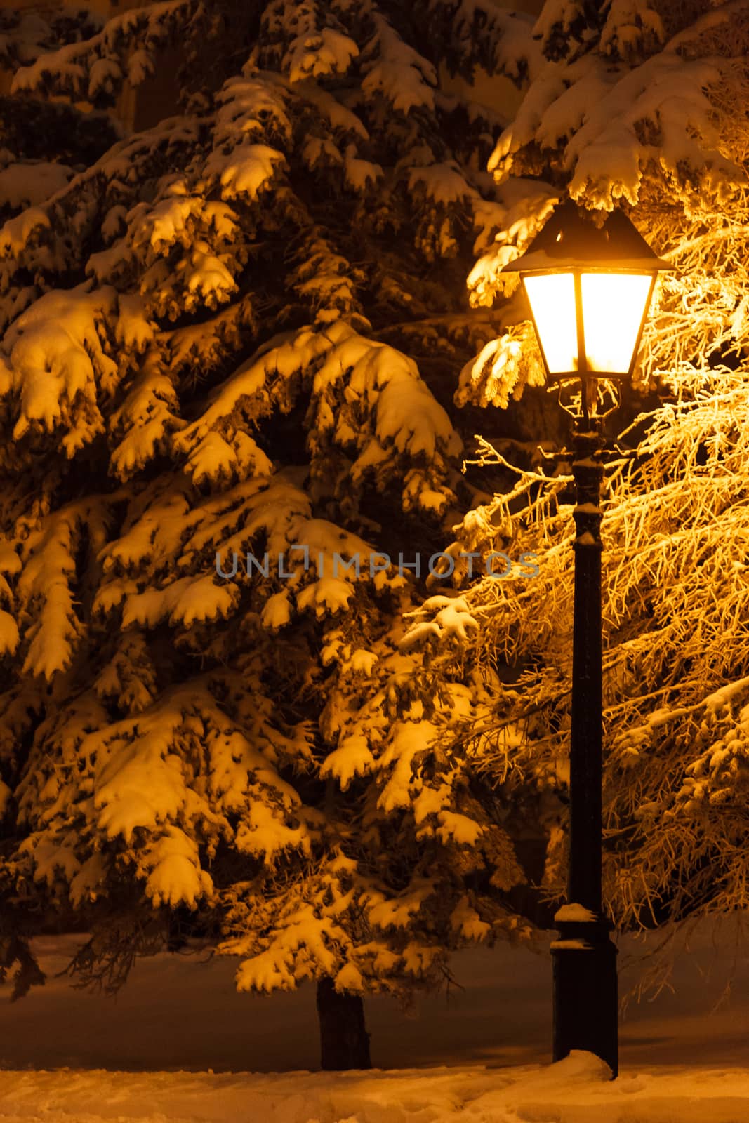 Street lantern and fir tree under the snow