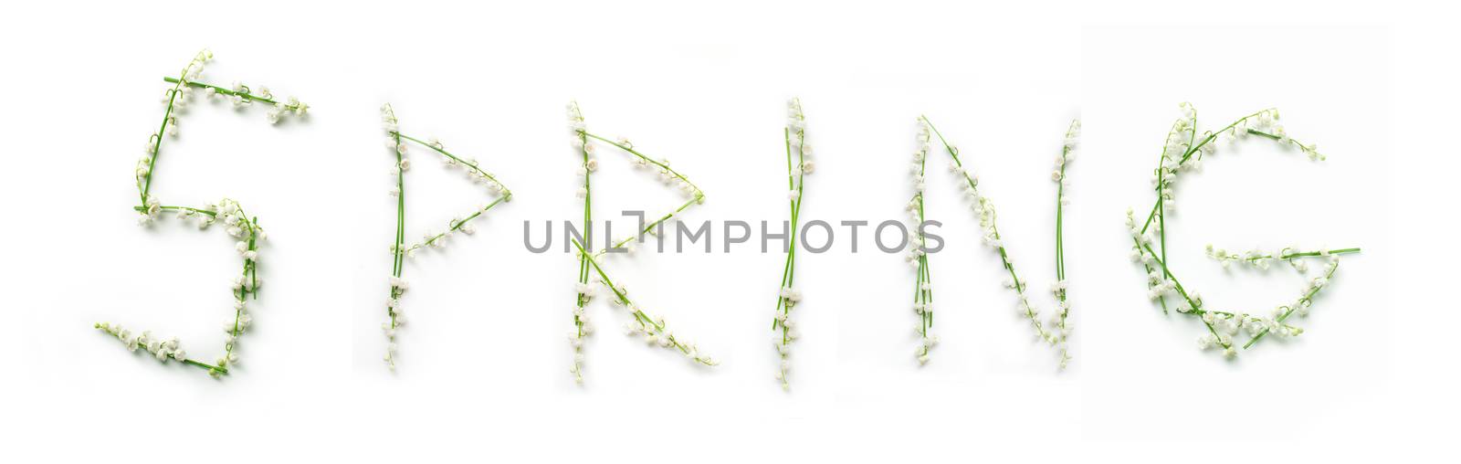 word Spring with lily flowers on white background.