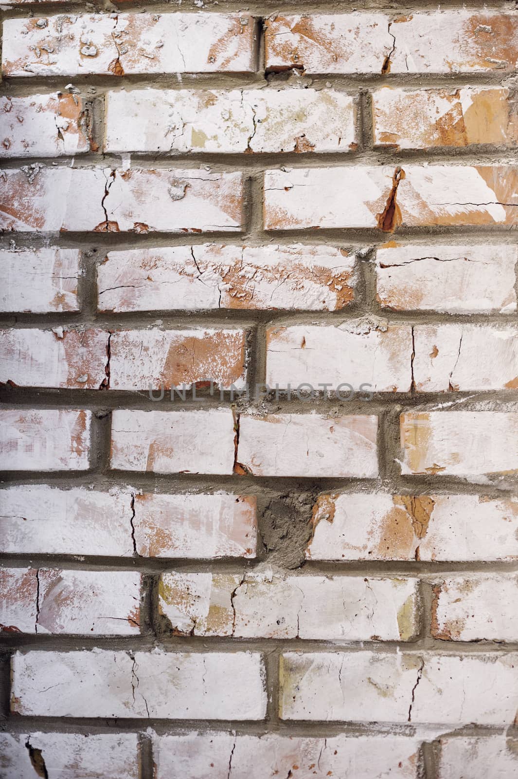 texture of the white brick walls by timonko
