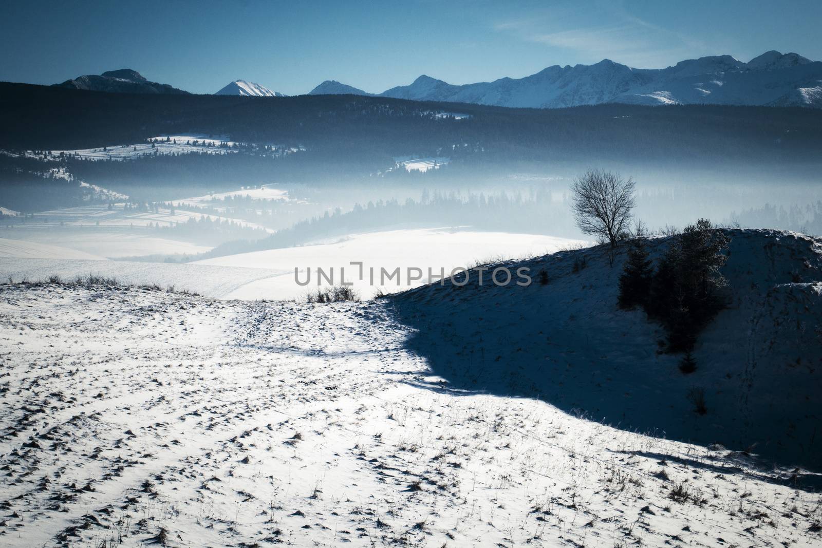 seasonal background submontane winter snowy landscape