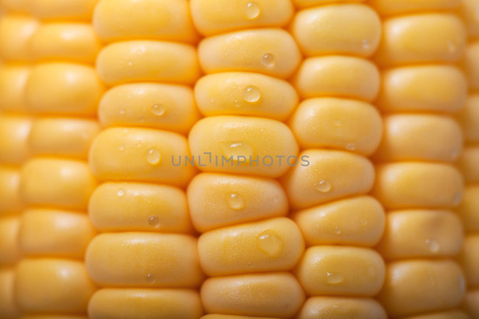 Pattern of fresh ripe yellow sweet corn
