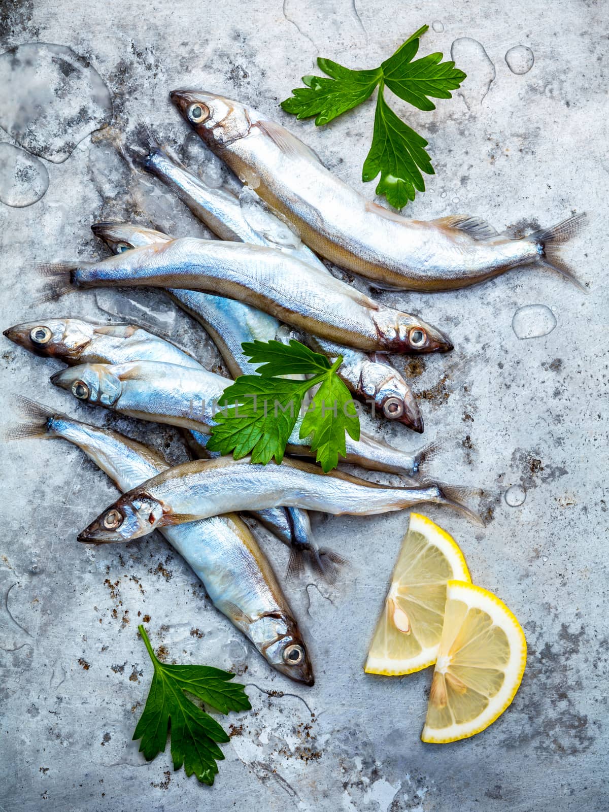 Fresh catch Shishamo fish fully eggs flat lay on shabby metal background. Shishamo fish is popular fish for Japanese cuisine cooking Tempura. Fresh Shishamo fish tempts buyers at fresh seafood stall.