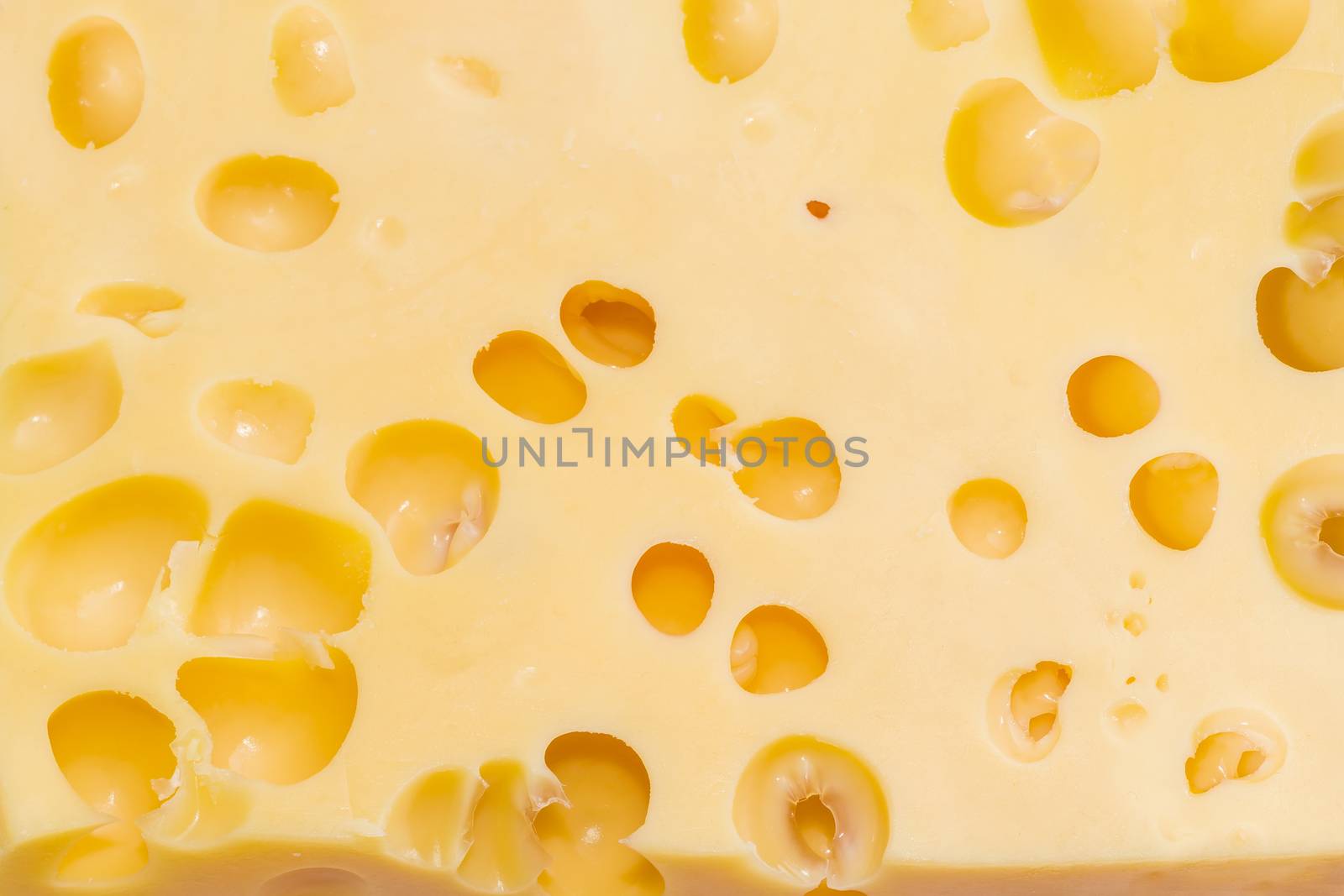 Texture of the medium-hard Swiss cheese with large cheese's eyes closeup
