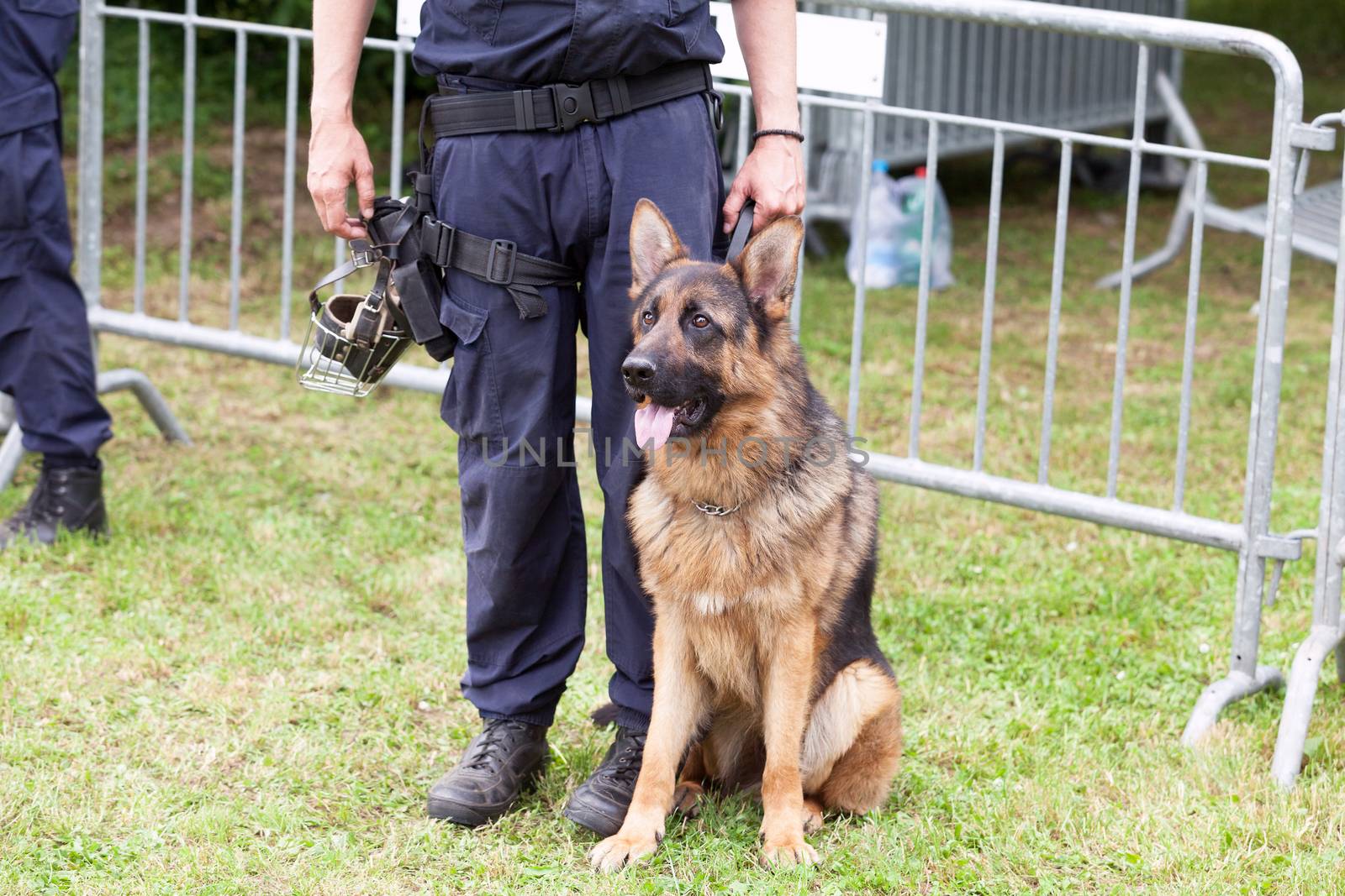 Police officer with a german shepherd police dog