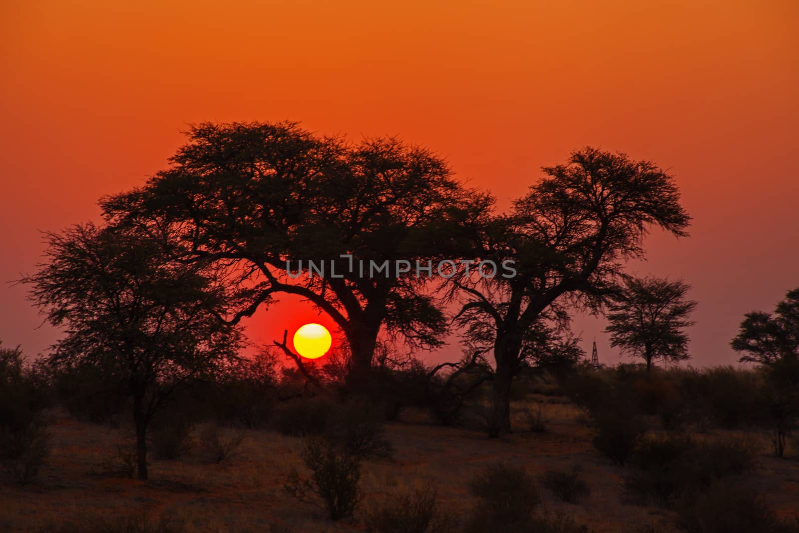 Kalahari Sunset. by kobus_peche