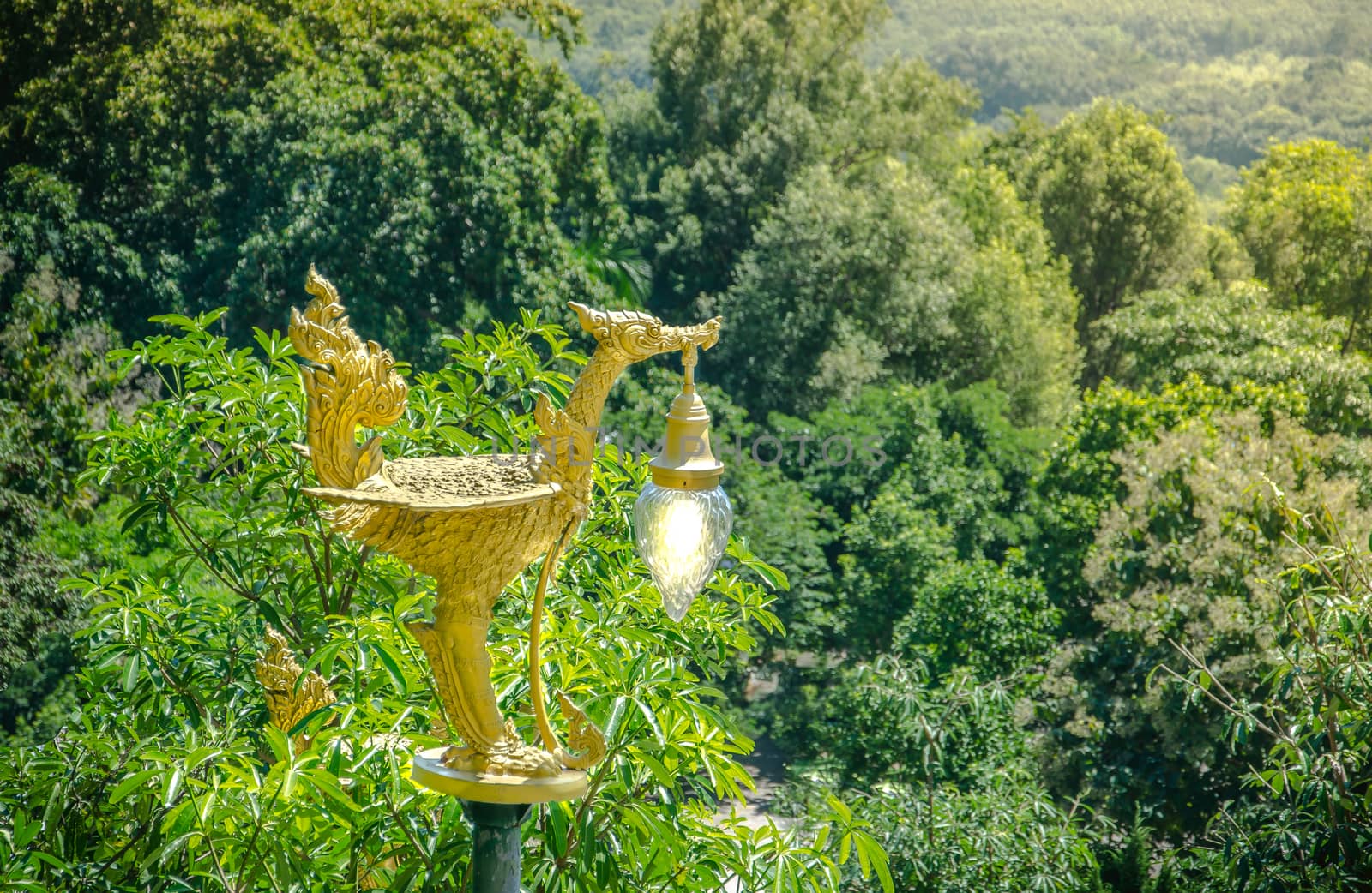 The golden swan lamp on forest Thailand