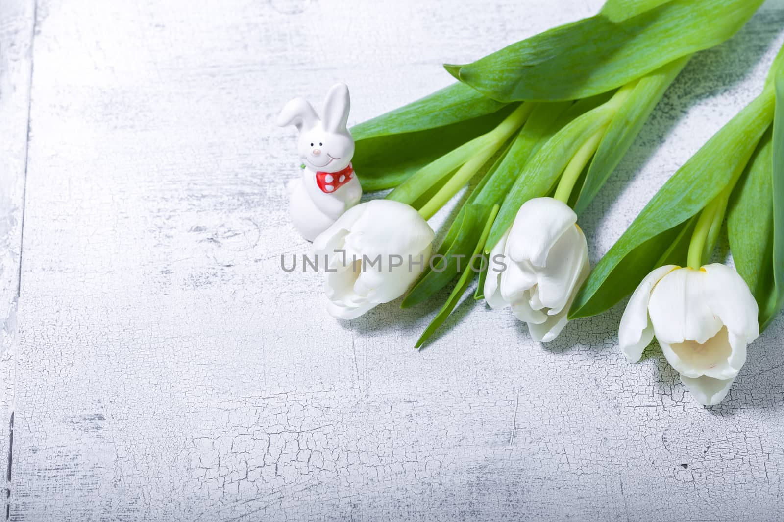 White tulips and  and bunny on wooden table