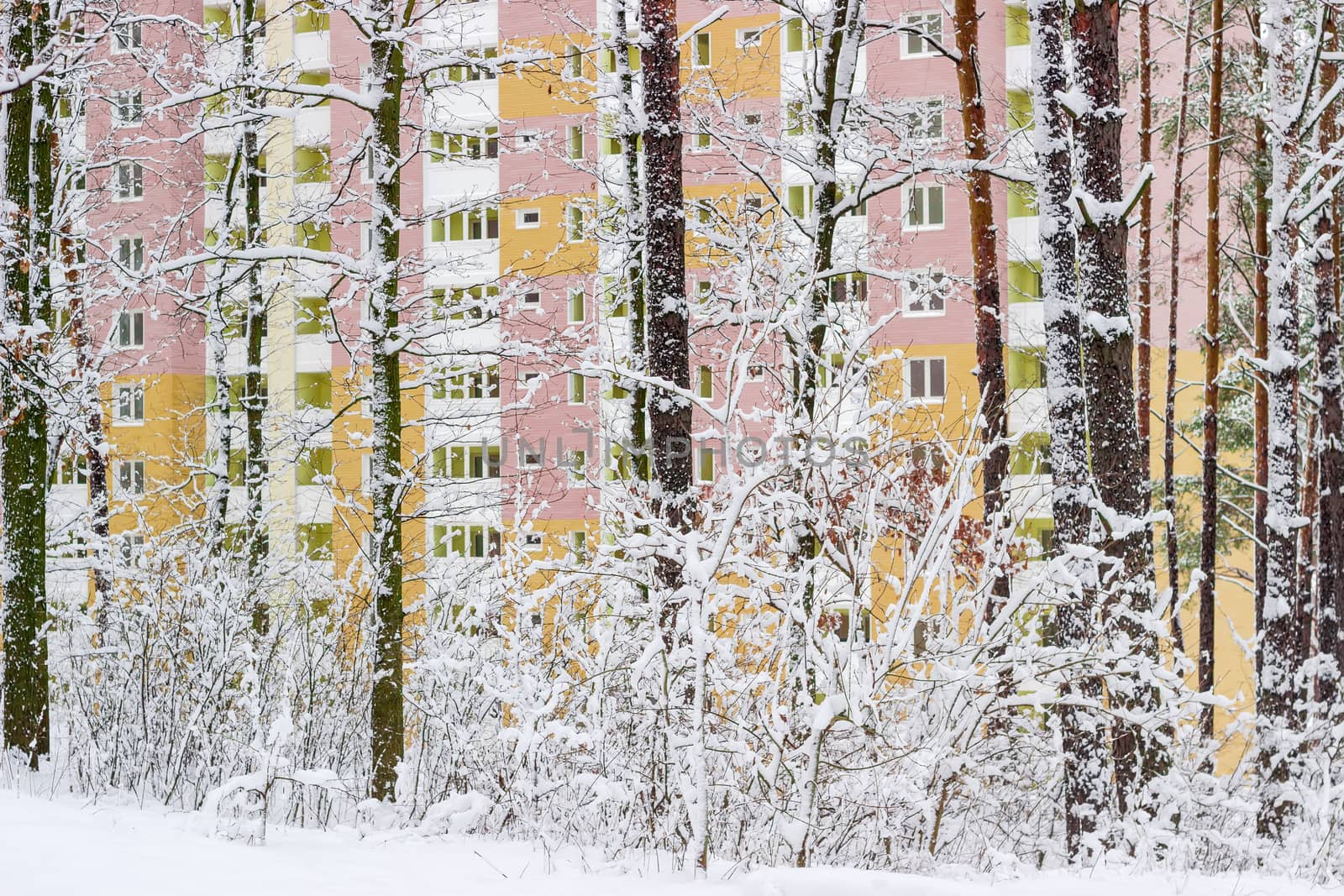 Fragment of a multi-storey residential house through snowy fores by anmbph