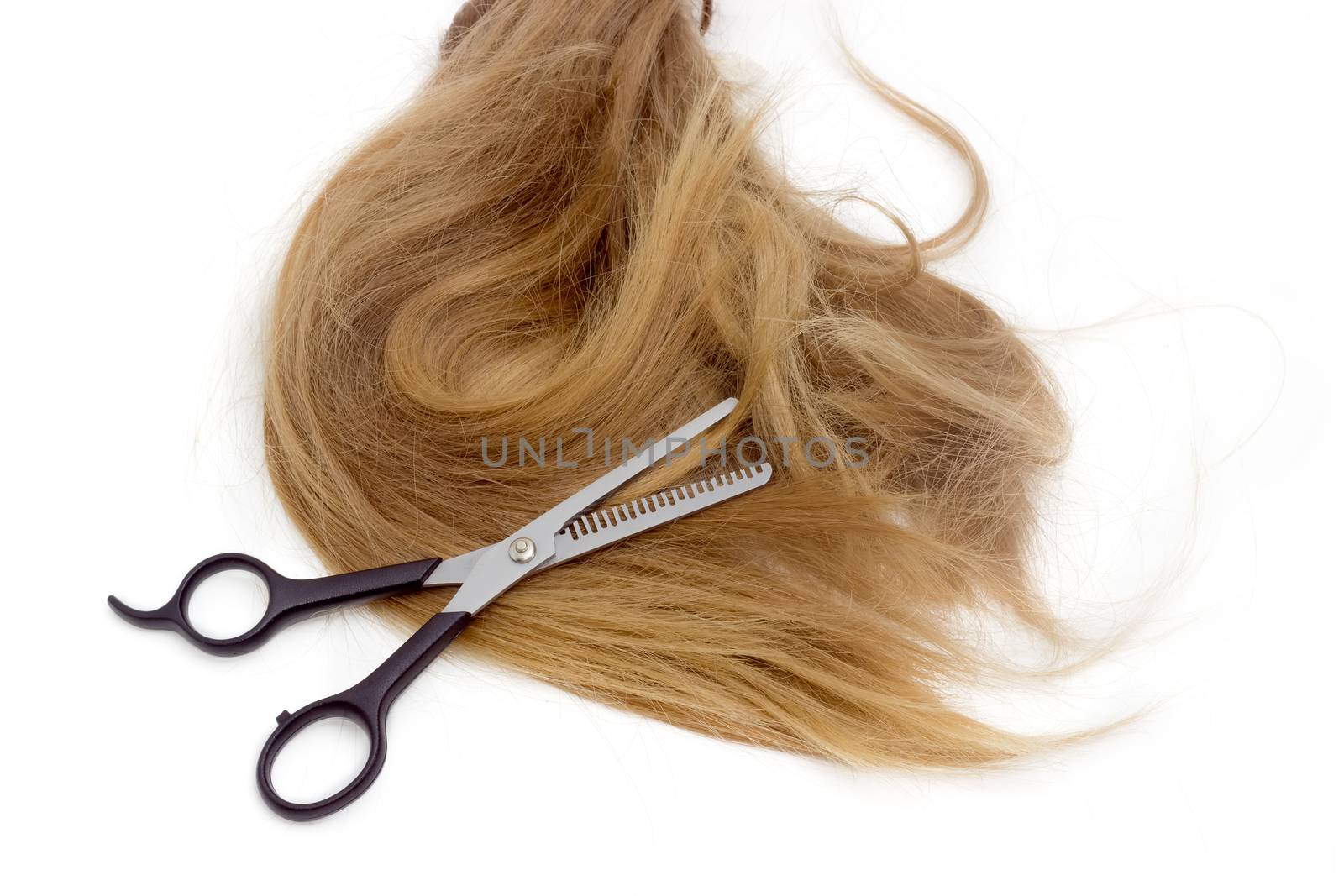 Hairdressers scissors against the backdrop of strand of female h by anmbph