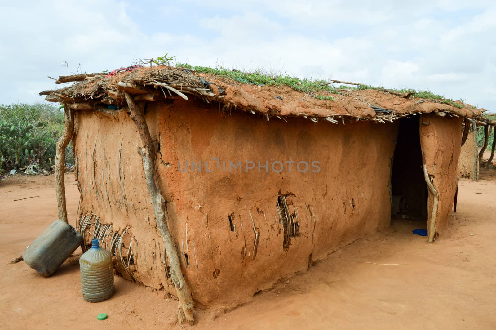 Traditional house of masai in earth and wood in a village of Kenya