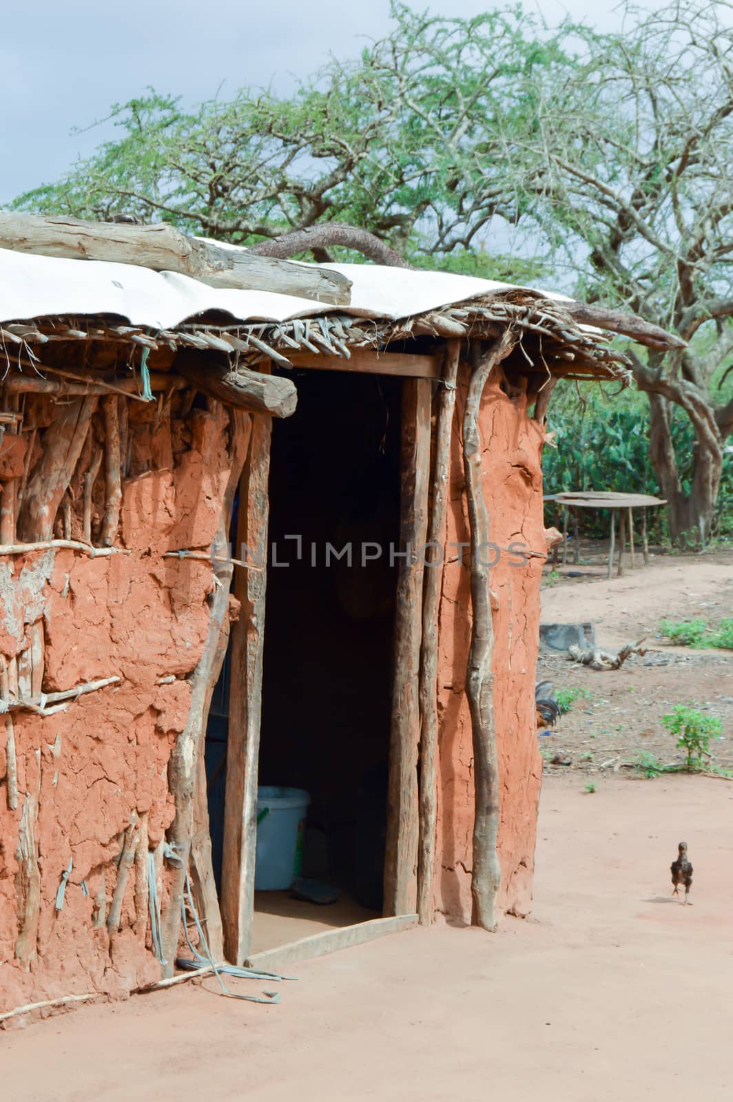 Traditional house of masai in earth and wood in a village of Kenya