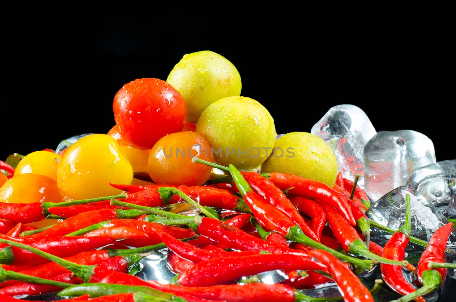 Series herb cooking on the black background.