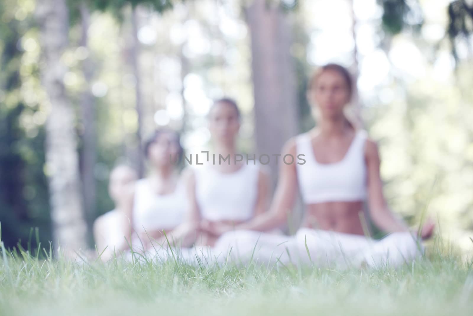 Women sitting in lotus position during yoga training at park