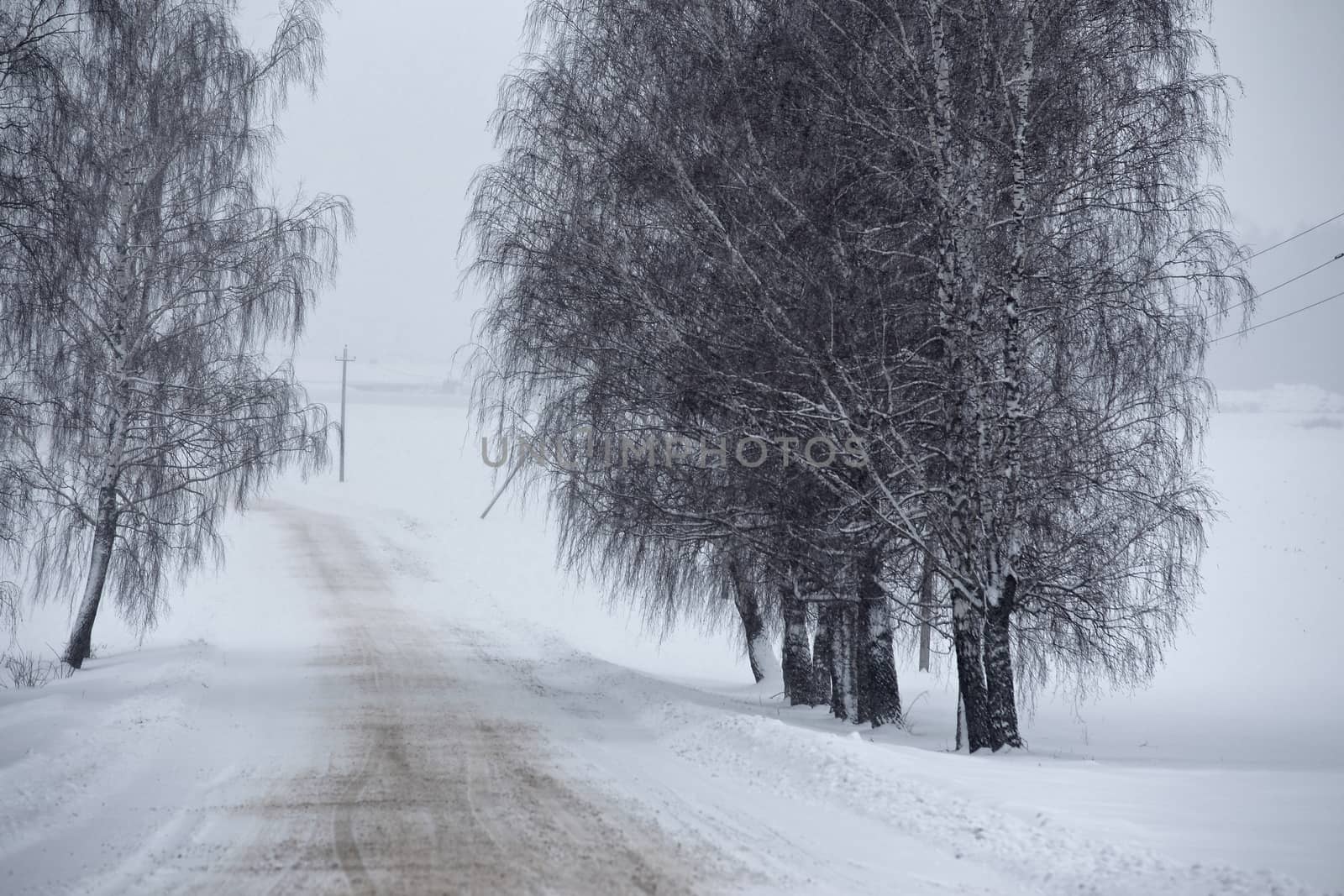 Snowfall and sleet on winter road. Ice snowy road. Winter snowstorm. Black ice and blizzard.