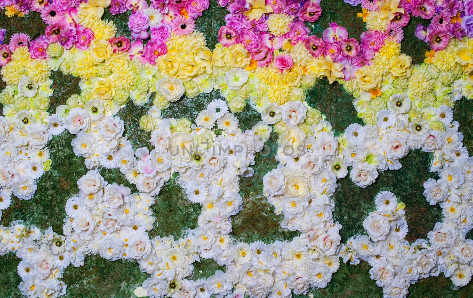 texture on a flowerbed of colorful flowers in the Park.