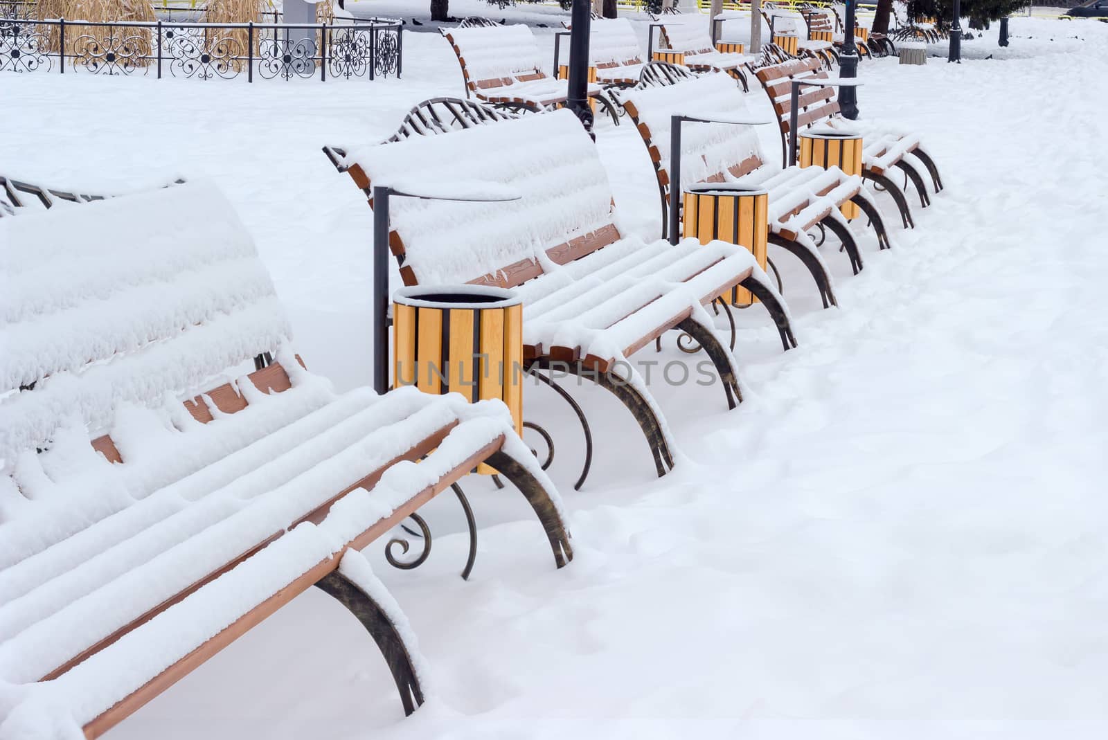 Rows of park benches, covered with snow in public garden by anmbph