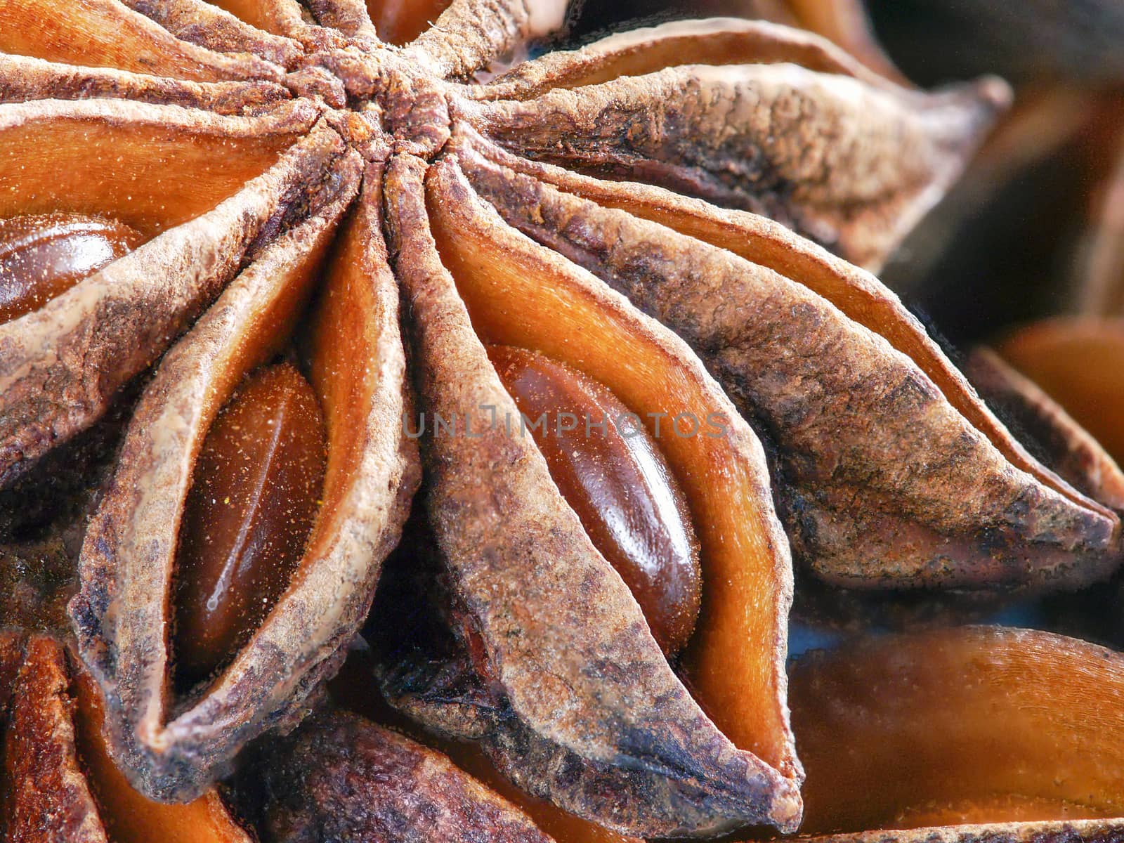 star anise extreme close up for background