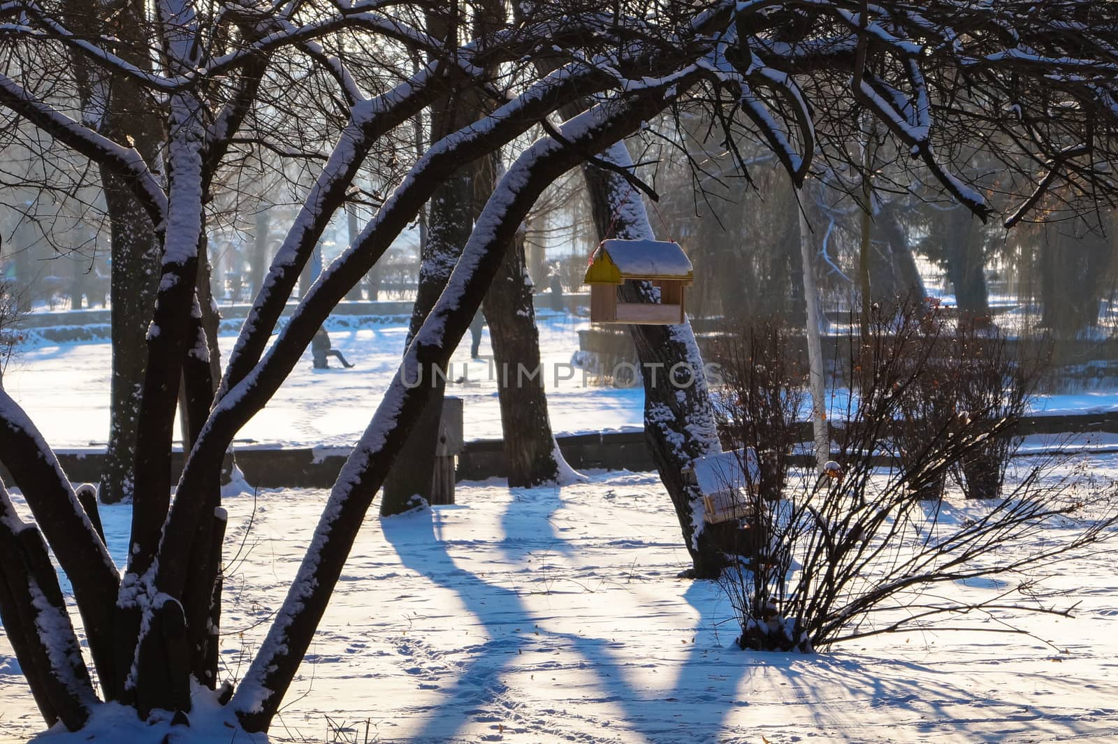 the bird feeder on the tree in the Park winter landscape by Oleczka11