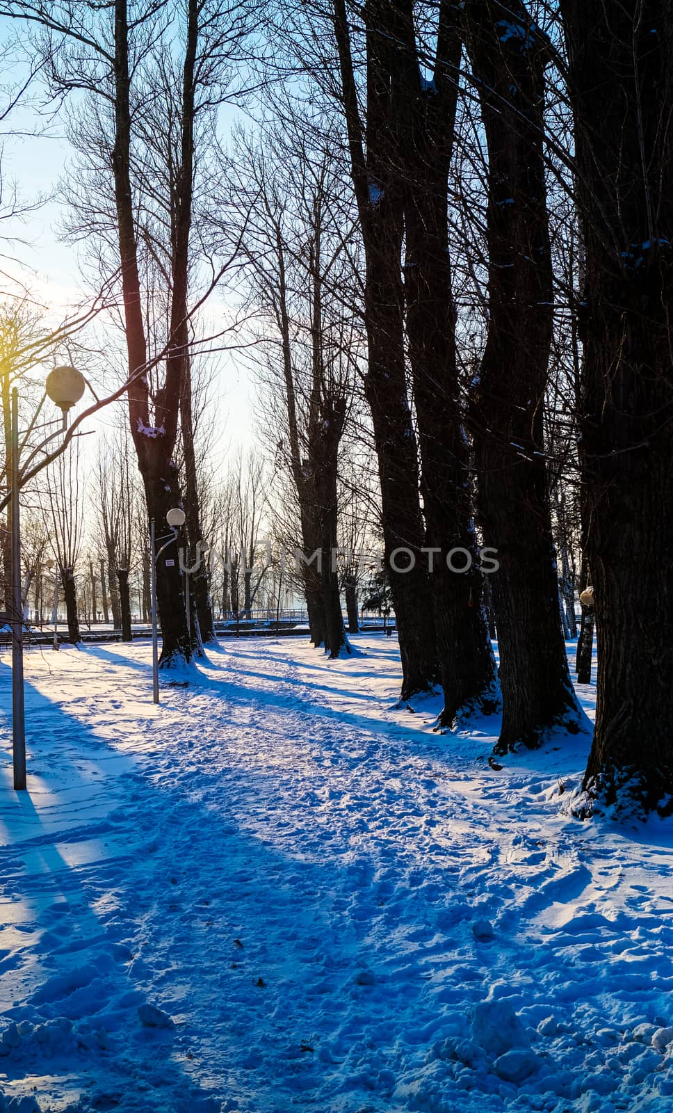 beautiful winter landscape in the Park in the city by Oleczka11