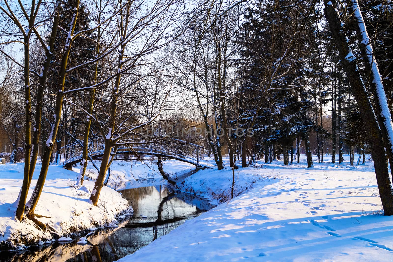 beautiful winter landscape in the Park river bridge by Oleczka11