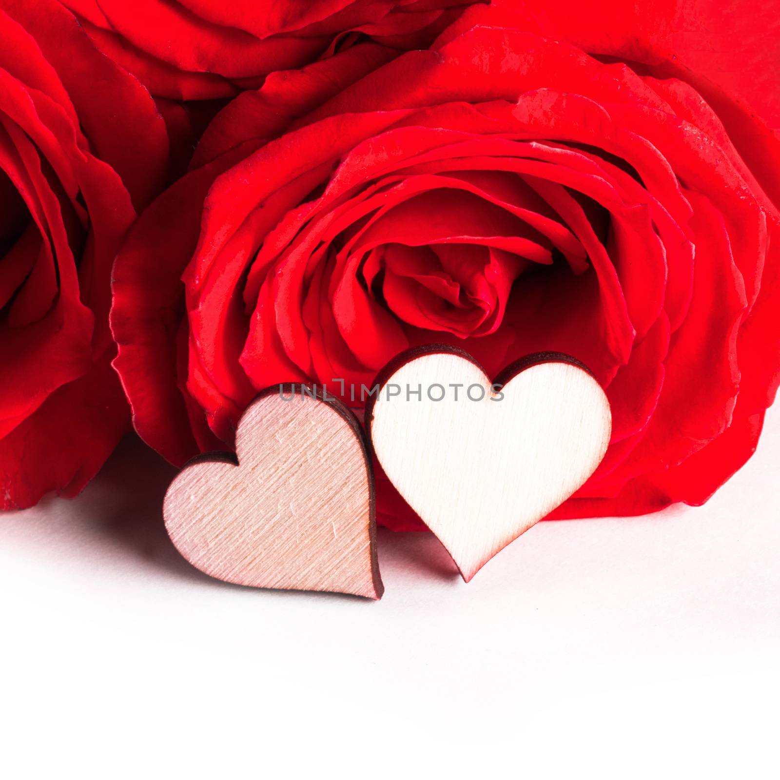 Roses and hearts isolated on white background, Valentines day