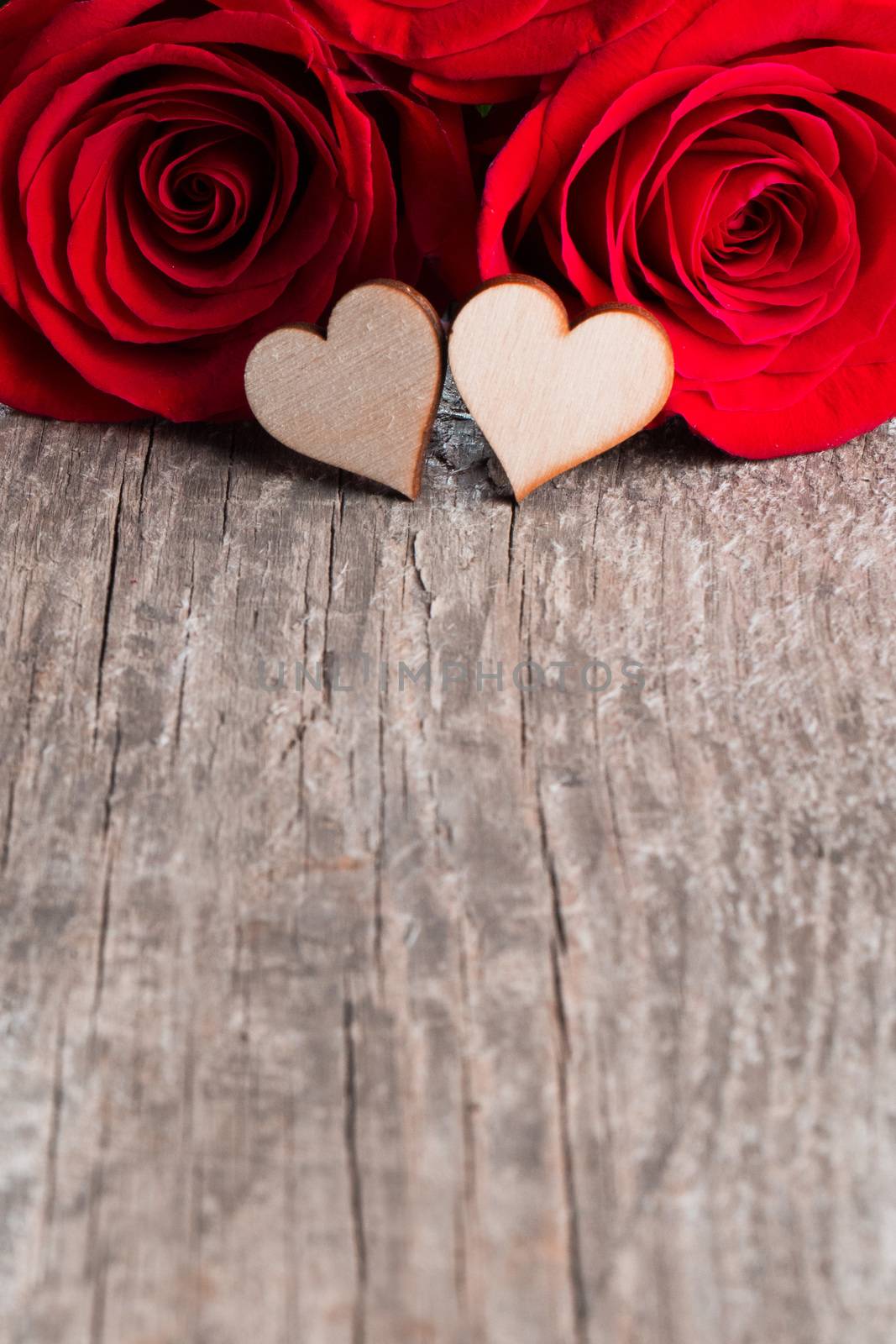 Two roses and wooden hearts on old plank background, Valentines day