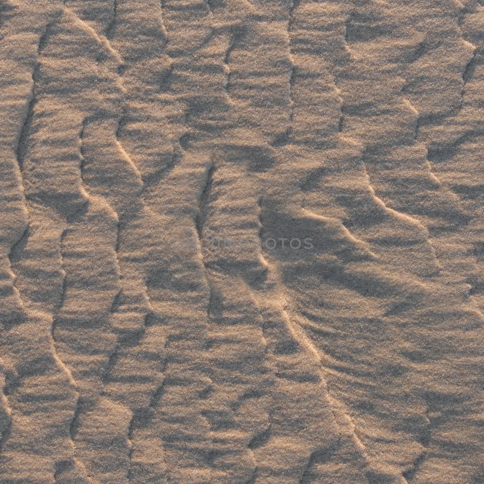 abstract background the texture of wet sand