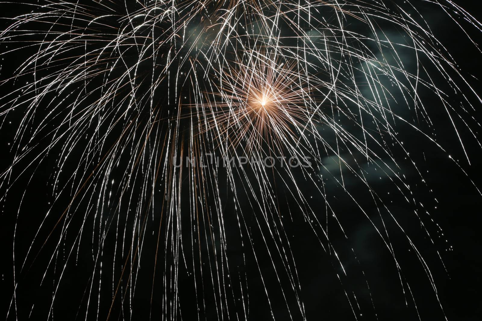 Colorful fireworks explosion in a dark night