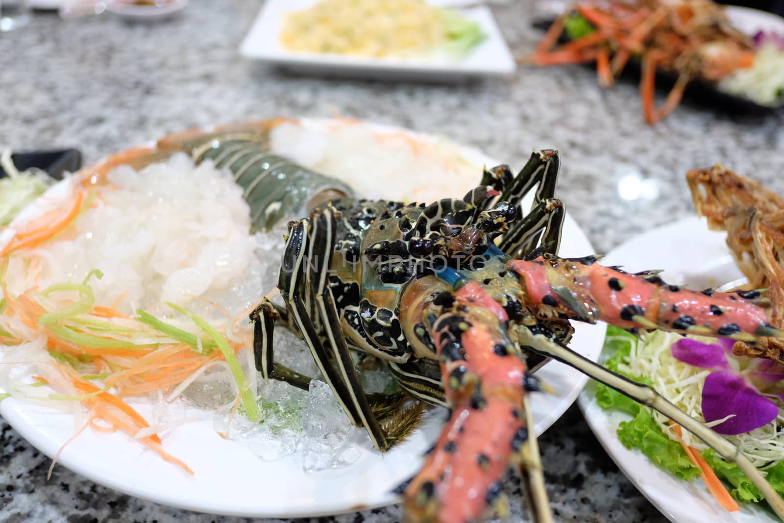 JAPANESE FOOD - close-up shot of sashimi of fresh  lobster