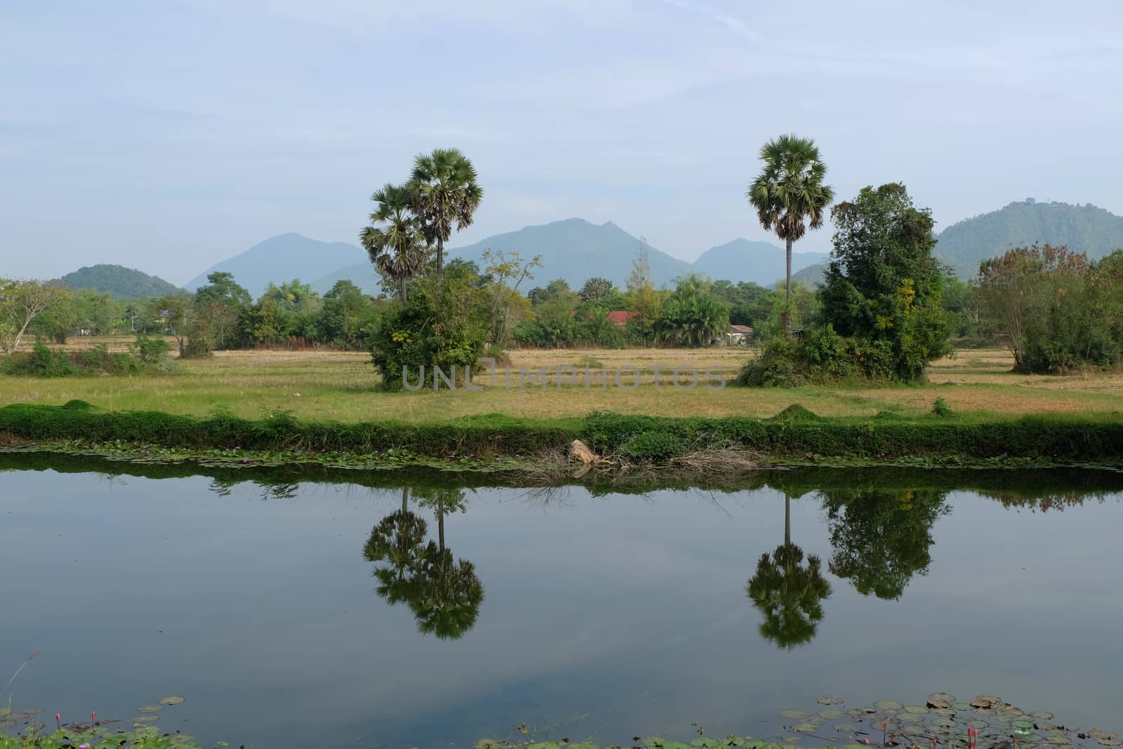 field vintage landscape in thailand by pumppump
