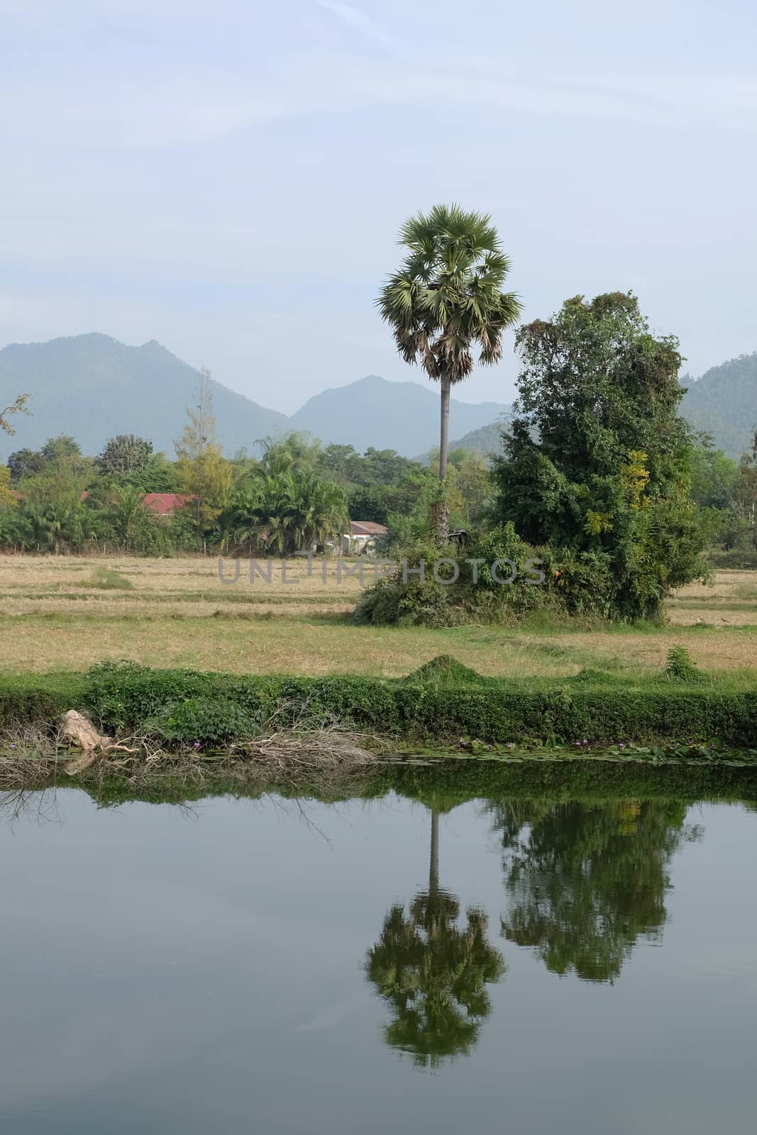 field vintage landscape in thailand by pumppump