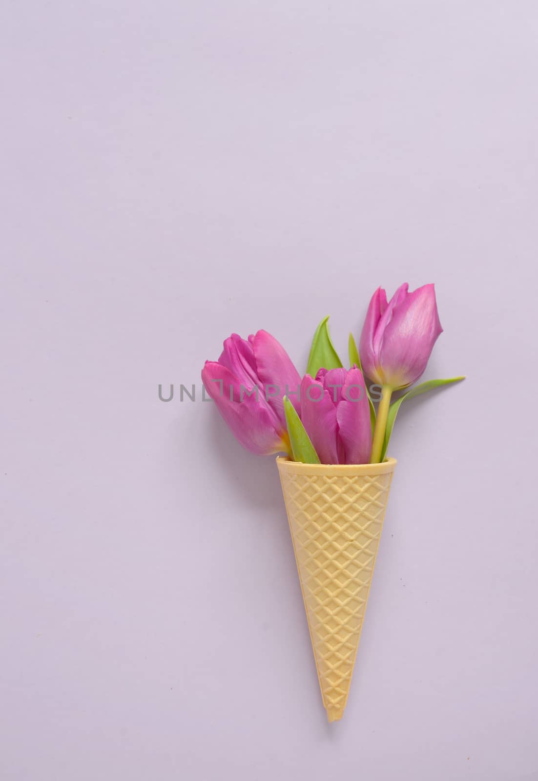 Concept with tulips in wafer ice cream cone