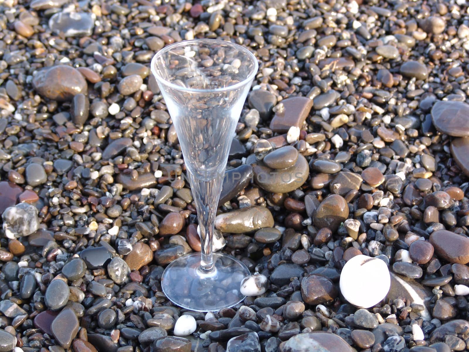 wine glass on stony beach by elena_vz
