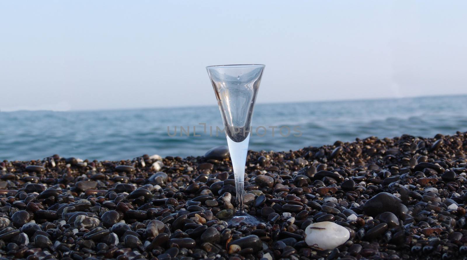 wine glass on stony beach by elena_vz