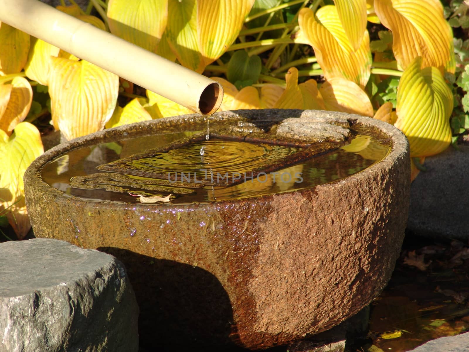 Tsukubai Water Fountain in Japanese Garden by elena_vz