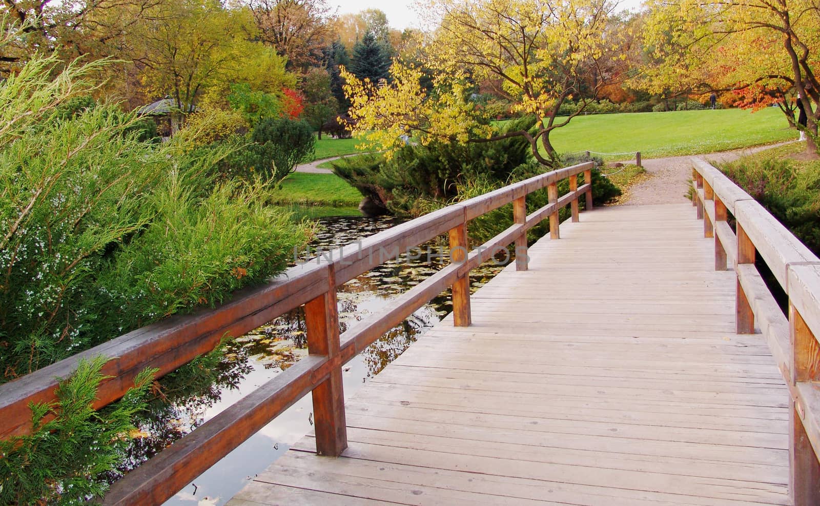 Wooden Bridge at Japanese Garden in Fall by elena_vz