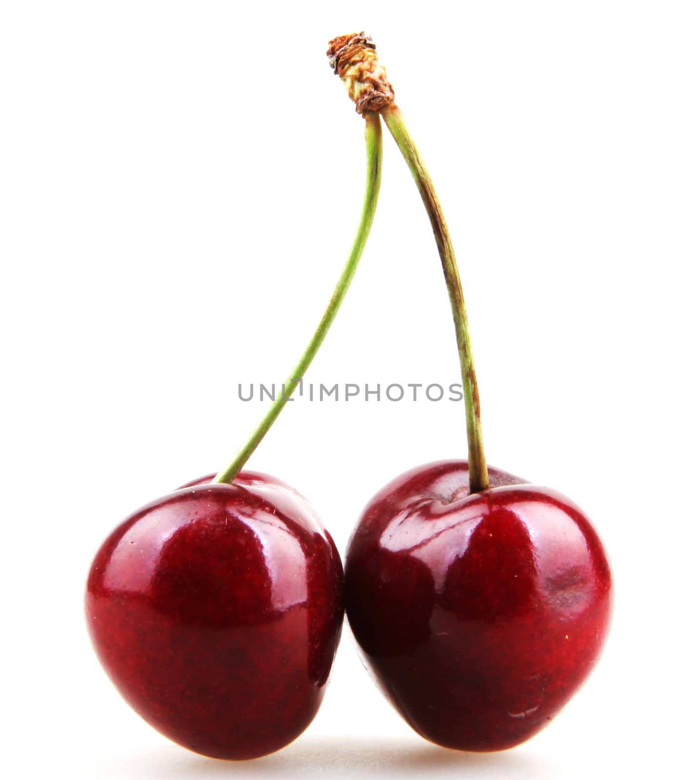 Cherries isolated on white background.